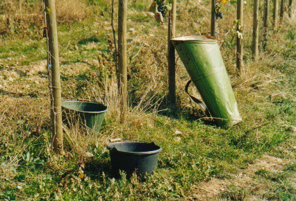 03-13-internet-schnegg-00019